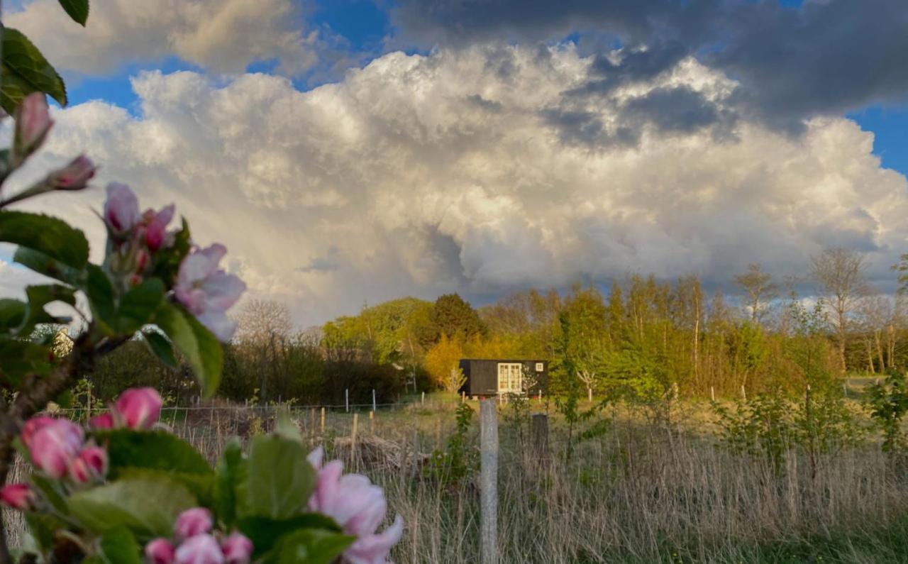 Bed and Breakfast Aeblehaven Toftebjerg Экстерьер фото